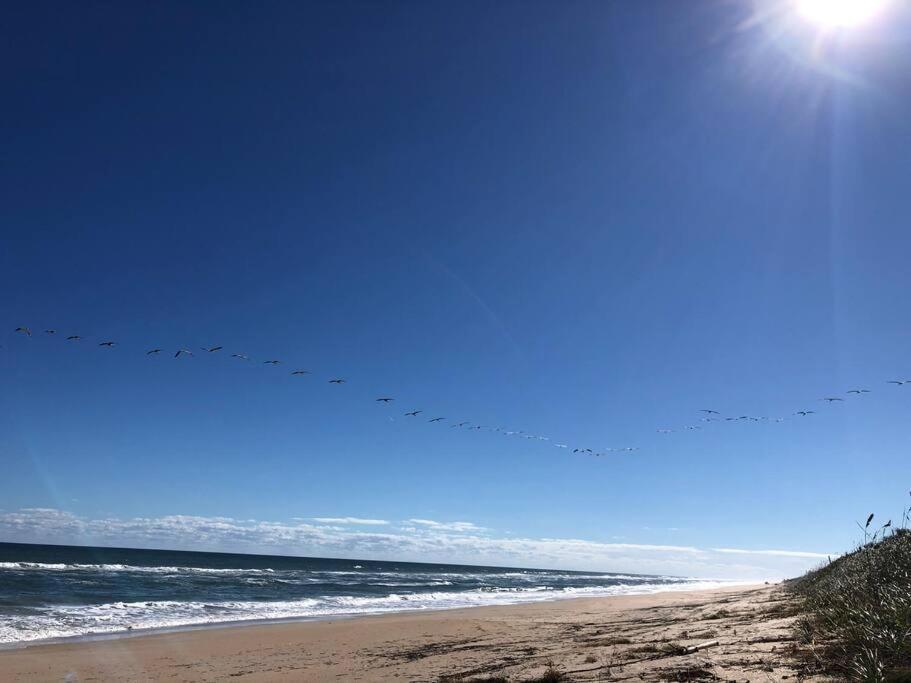 Zen Beach Retreat - Ocean View Townhouse -No Drive Beach New Smyrna Beach Eksteriør billede