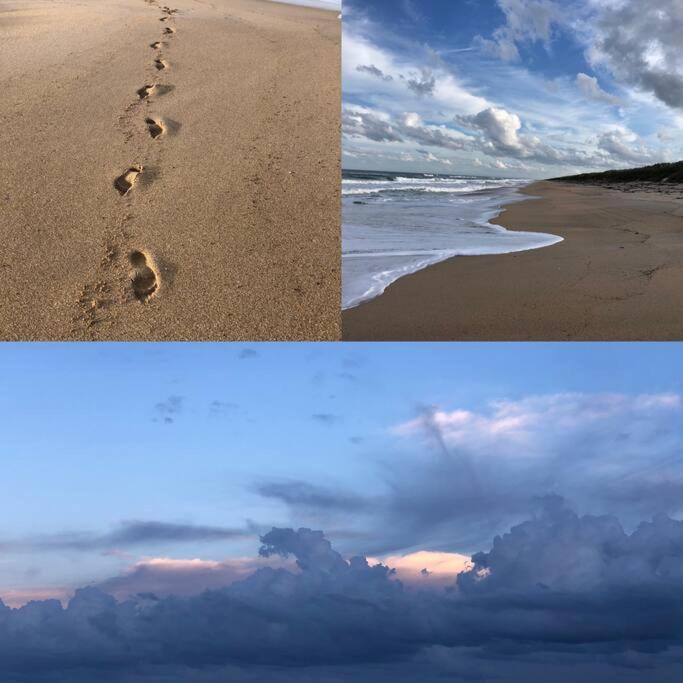 Zen Beach Retreat - Ocean View Townhouse -No Drive Beach New Smyrna Beach Eksteriør billede